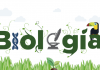 Biologia: 5 dicas para estudar a matéria