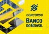 Como passar no Concurso Banco do Brasil? Saiba mais!