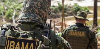 Concurso Ibama: nova solicitação prevista; veja!