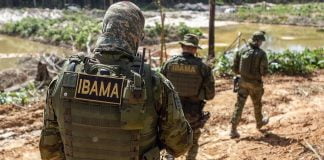 Concurso Ibama: novo edital em estudo! Saiba mais!