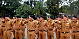 Concurso PM PR: 230 vagas autorizadas! Confira