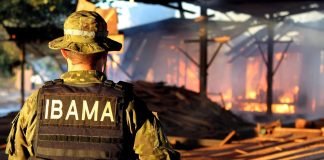 Concurso Ibama: comissão interna formada! Veja