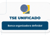 Concurso TSE Unificado: banca Cebraspe! Até R$ 13,9 mil concurso TSE unificado