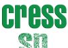 Concurso CRESS – SP: Oportunidades em Serviço Social – Confira o Edital! cress-sp