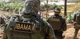 Concurso IBAMA: SOLICITADO! 2.408 vagas. Confira! Concurso IBAMA