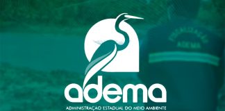 Novo Concurso Público da Adema: Oportunidades para Níveis Técnico e Superior