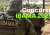 IBAMA Lança Edital de Concurso Público com 460 Vagas Concurso IBAMA 2025