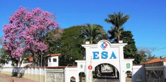 O Impacto da Formação Militar na Vida Pessoal dos Sargentos Concurso ESA 2025