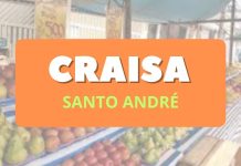 Como a CRAISA SP Promove a Inclusão Social Concurso CRAISA SP