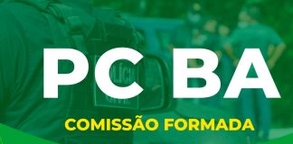 O Impacto da Formação Inicial na Carreira Policial Concurso PC BA