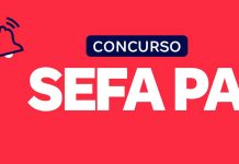 A Importância da Diversidade no Serviço Público Concurso SEFA PA